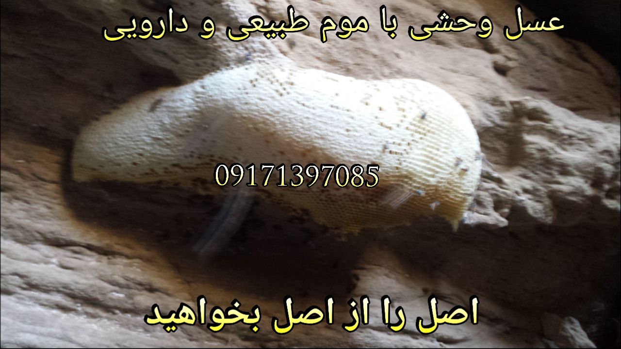 عسل برای زخم معده